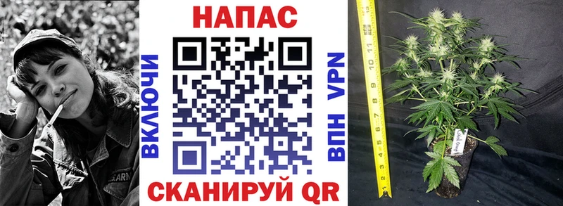 МАРИХУАНА Красково