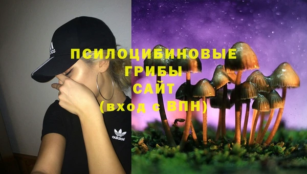 2c-b Балахна