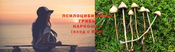 2c-b Балахна